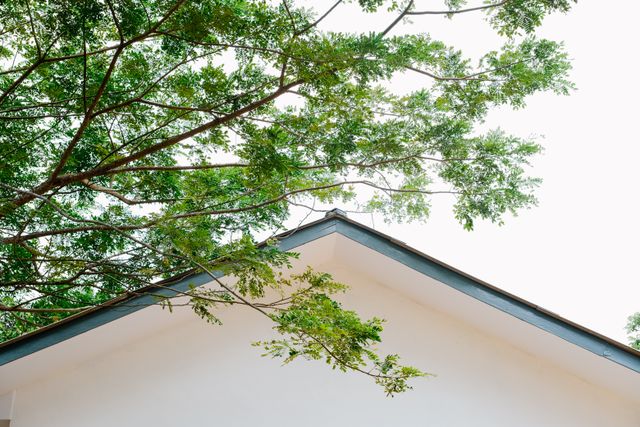 the roof of a house